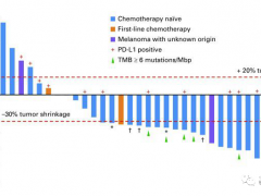 速递|FDA授予中国国产PD-1免疫药物特瑞普利单抗(Toripalimab)黑色素瘤快速通道资格