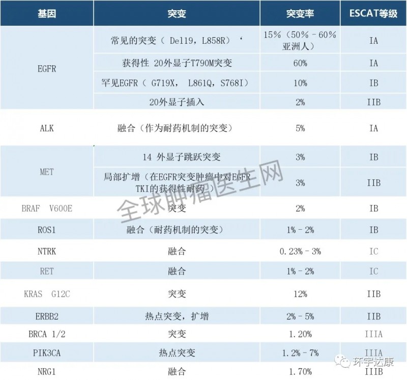 晚期非鳞状非小细胞肺癌检测