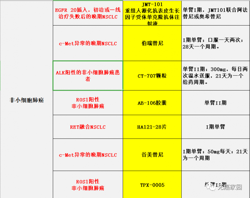 非小细胞肺癌国产新药