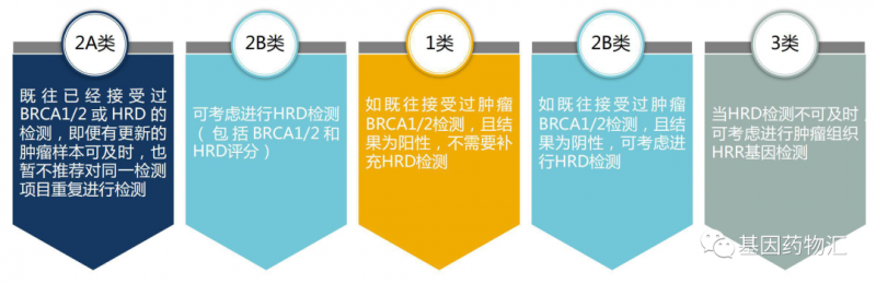 需不需要重新检测BRCA和HRD的不同情况