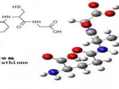 谷胱甘肽是什么,谷胱甘肽有什么作用,口服谷胱甘肽的作用与功效