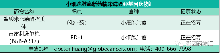 小细胞肺癌新药临床试验