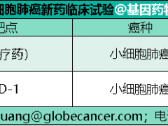 小细胞肺癌免疫联合化疗改写小细胞肺癌维持治疗患者的生存期