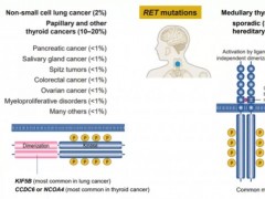2021年四款广谱抗癌药物,广谱抗肿瘤药物,RET靶向药物为RET基因融合的患者带来春天