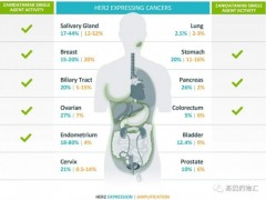 基因小课|HER2,最经典的癌症治疗靶标之一、广谱抗癌新秀HER2基因突变