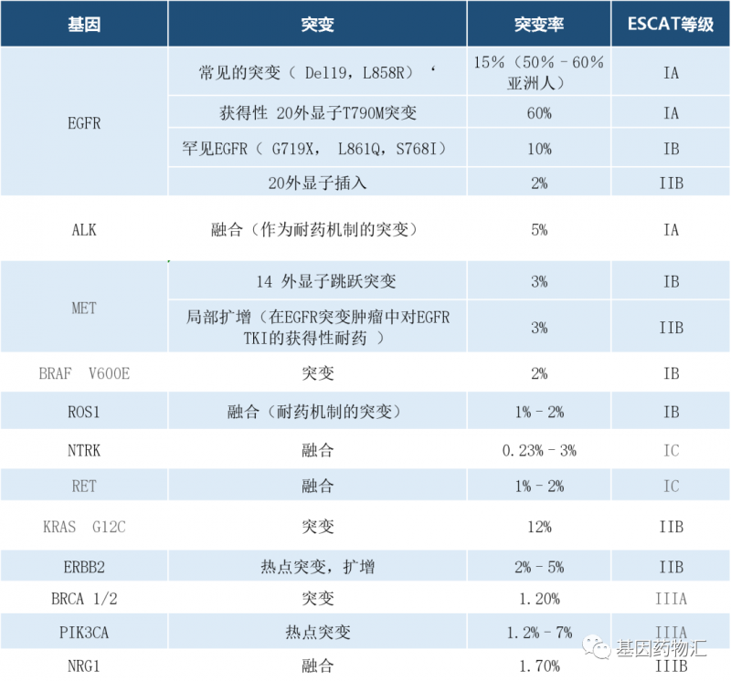 晚期非鳞状非小细胞肺癌基因突变及概率