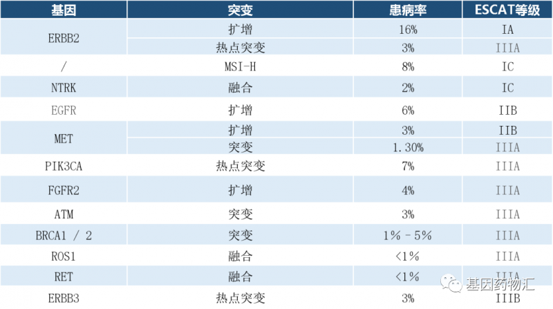 转移性胃癌基因突变及概率