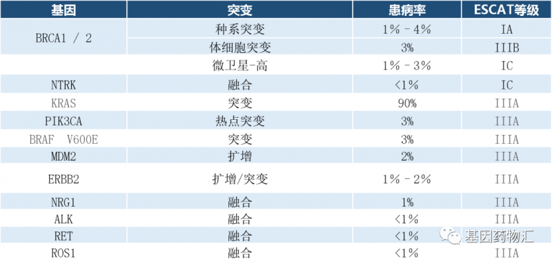 胰腺导管腺癌基因突变及概率