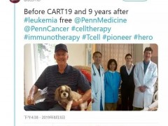 CART细胞疗法,CAR-T细胞治疗,CAR-T细胞免疫疗法,CAR-T细胞免疫治疗