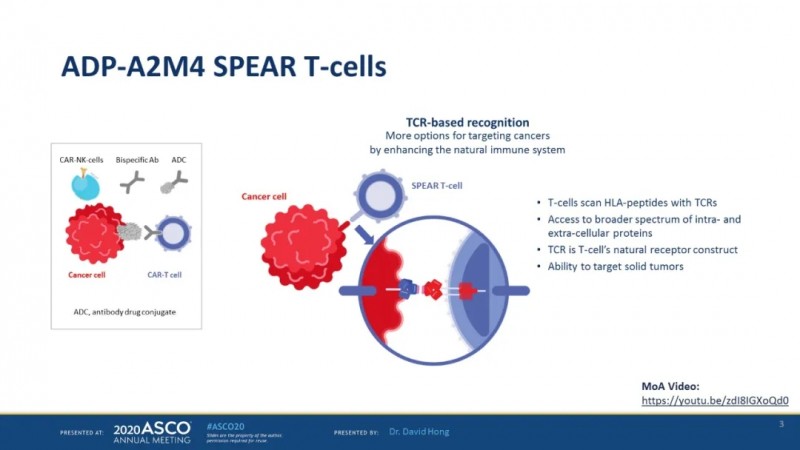 ADP-A2M4 SPEAR T细胞
