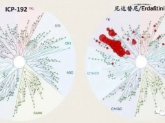 中国国产第二代FGFR抑制剂ICP-192临床试验招募已经在多个国家展开