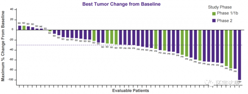 MRTX849非小细胞肺癌疾病控制率