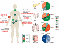 三款KRAS抑制剂,KRAS靶向药新药疾病控制率高达96%