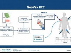 癌症疫苗,抗癌疫苗,个性化抗肿瘤疫苗Neovax缓解时间长达4年