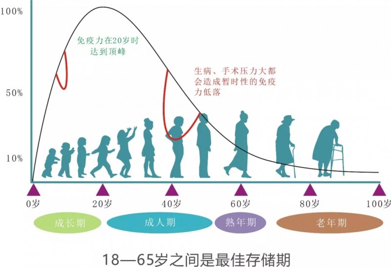 免疫细胞活性随着年龄增长而衰减的对比图