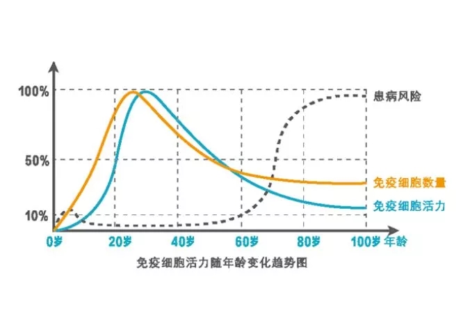 免疫细胞活力随年龄变化趋势图