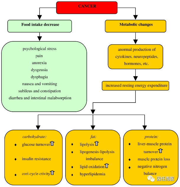 肿瘤患者营养不良的原因