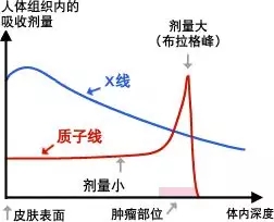 质子治疗和传统放疗辐射剂量对比