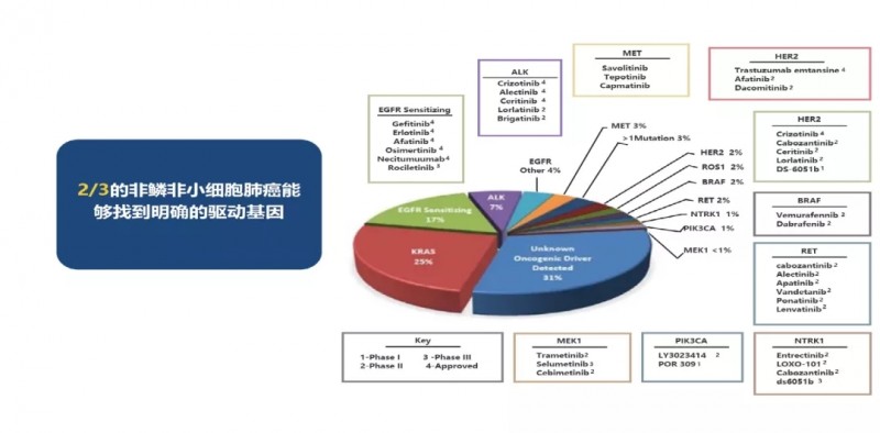 非小细胞肺癌明确的驱动基因