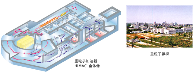 重离子加速器HIMAC
