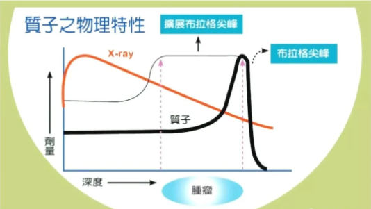 质子的物理特性