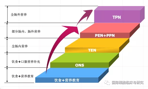 乳腺癌患者营养不良的5个阶梯式补充方式