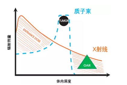 质子治疗和X射线辐射剂量和体内深度对比