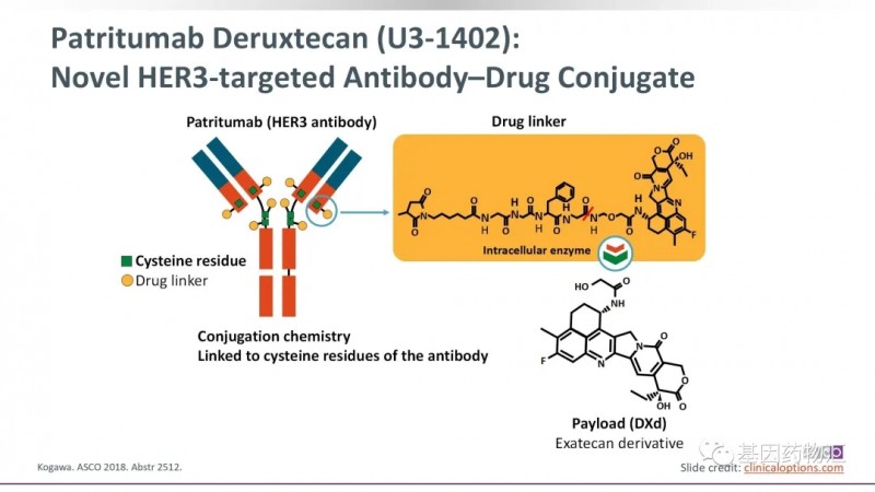 Patritumab Deruxtecan(U3-1402)分子结构