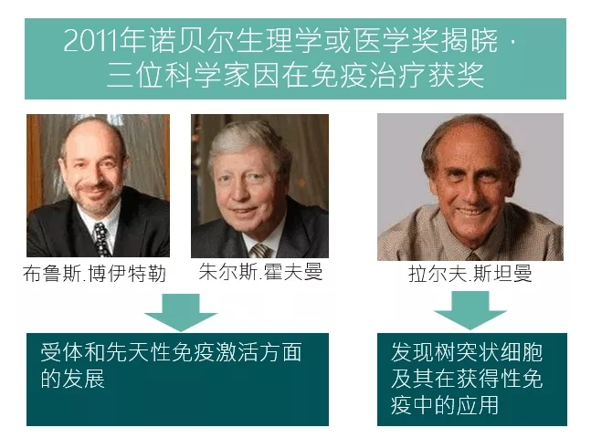 获得2011年诺贝尔生理学和医学奖的三位科学家