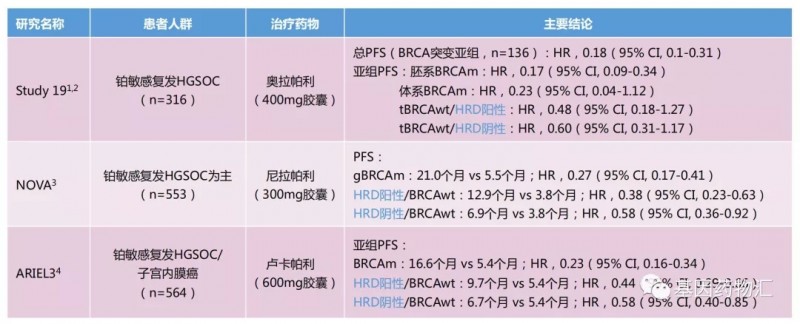 卵巢癌PRAP抑制剂治疗药物