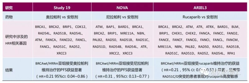 HRD基因检测包含的项目