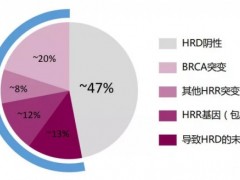 HRD基因检测,这部分患者只检测BRCA基因已经不够了,HRD检测是更加全面的检测方案