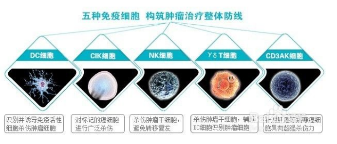 三大肿瘤细胞免疫疗法挺近实体瘤肿瘤细胞免疫治疗新一轮革命变革拉开