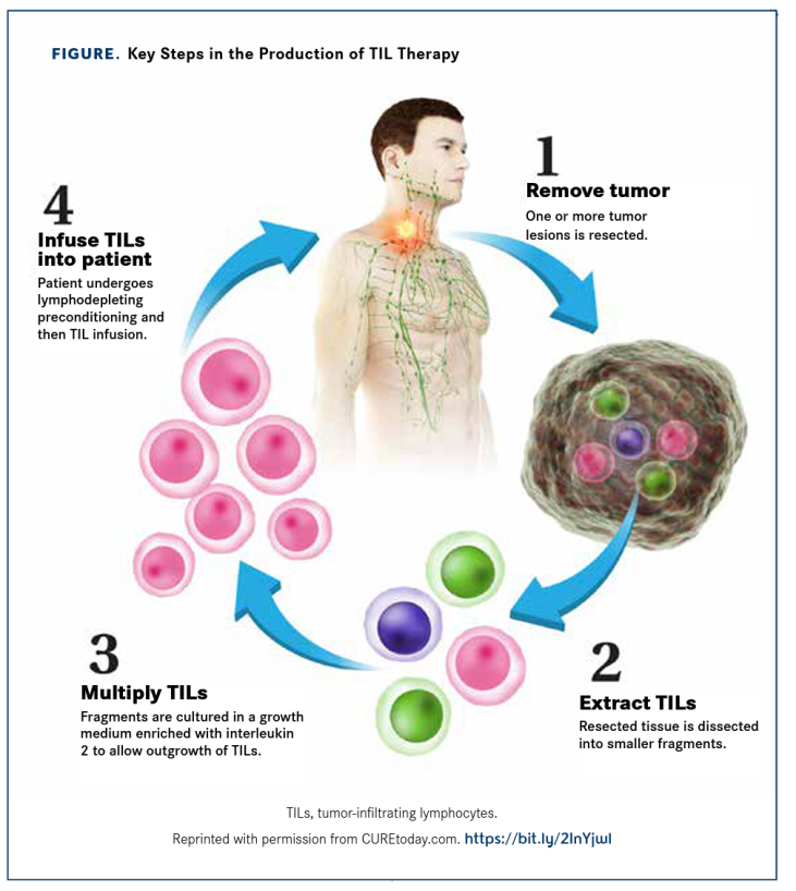 TILs疗法