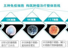 三大肿瘤细胞免疫疗法挺近实体瘤,肿瘤细胞免疫治疗新一轮革命变革拉开帷幕