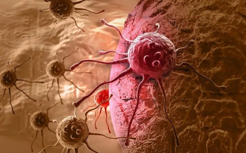 肿瘤免疫细胞