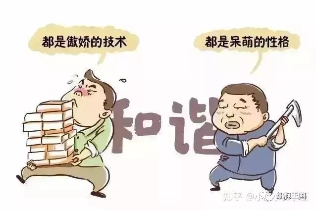 免疫细胞太厉害了，看NK细胞如何抗癌重启人体健康态