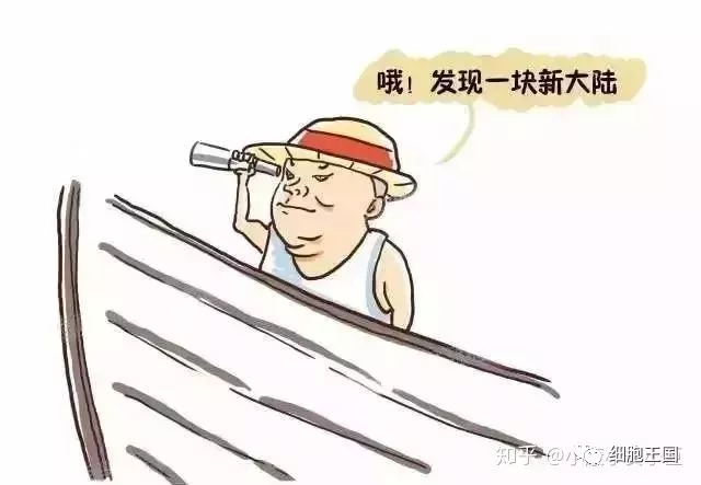 癌细胞转移