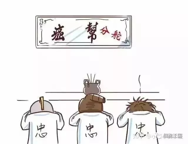 肿瘤形成