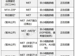 新型c-MET靶点突变抗体偶联ADC药物Telisotuzumab Vedotin(ABBV-399)最新研究数据经治患者缓解率最高53.8%