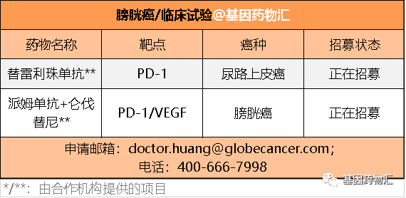 膀胱癌临床试验