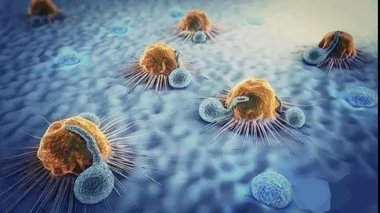 生物细胞免疫疗法杀死肿瘤细胞