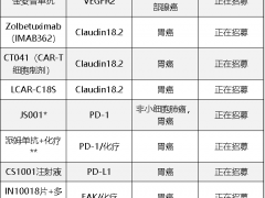 胃癌新药,五大胃癌靶点带来全新的胃癌靶向药物和胃癌PD1免疫治疗药物