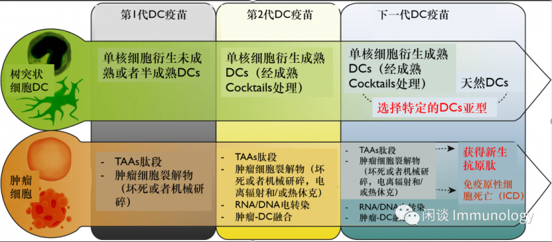 DC疫苗的发展简史