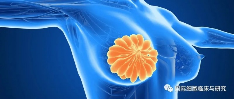 一文了解乳腺癌治疗期间、治疗后的饮食秘诀，缓解副作用小妙招！
