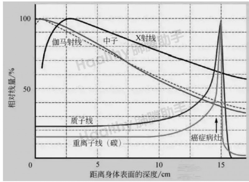 质子线、重粒子线、伽马线、X射线、中子线相对线量对比