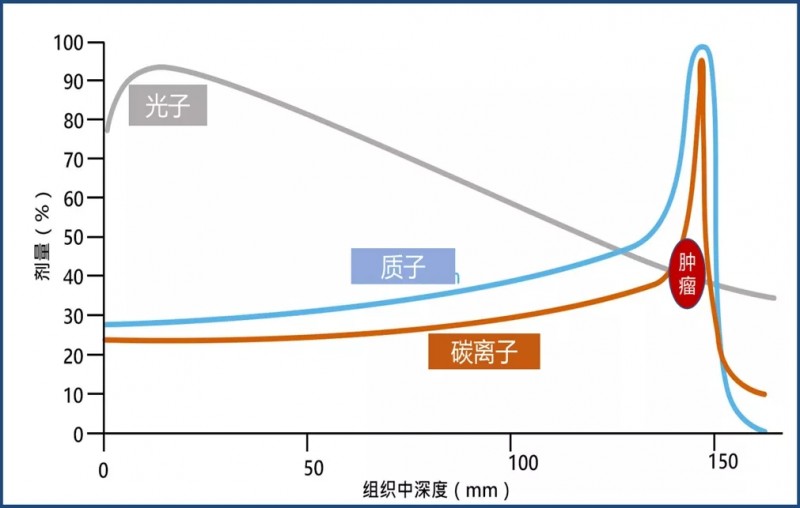 质子、重离子和光子放疗放射剂量对比