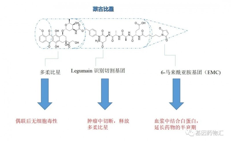 莱古比星分子结构
