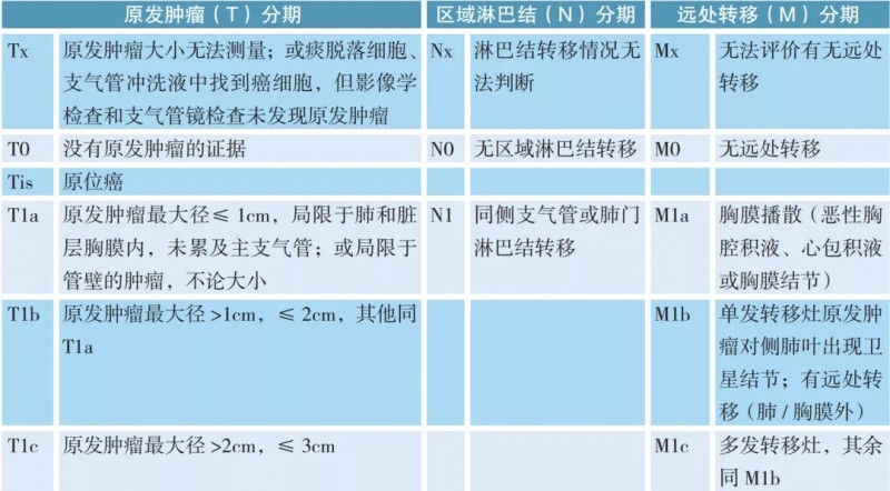 非小细胞肺癌分期