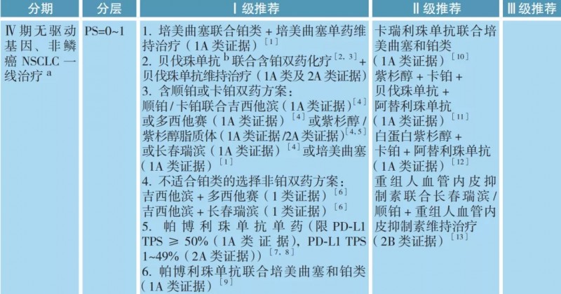 Ⅳ期无驱动基因、非鳞癌非小细胞肺癌治疗方案